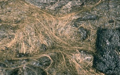 Why a Hawaiian Volcano Is Sprouting Golden .